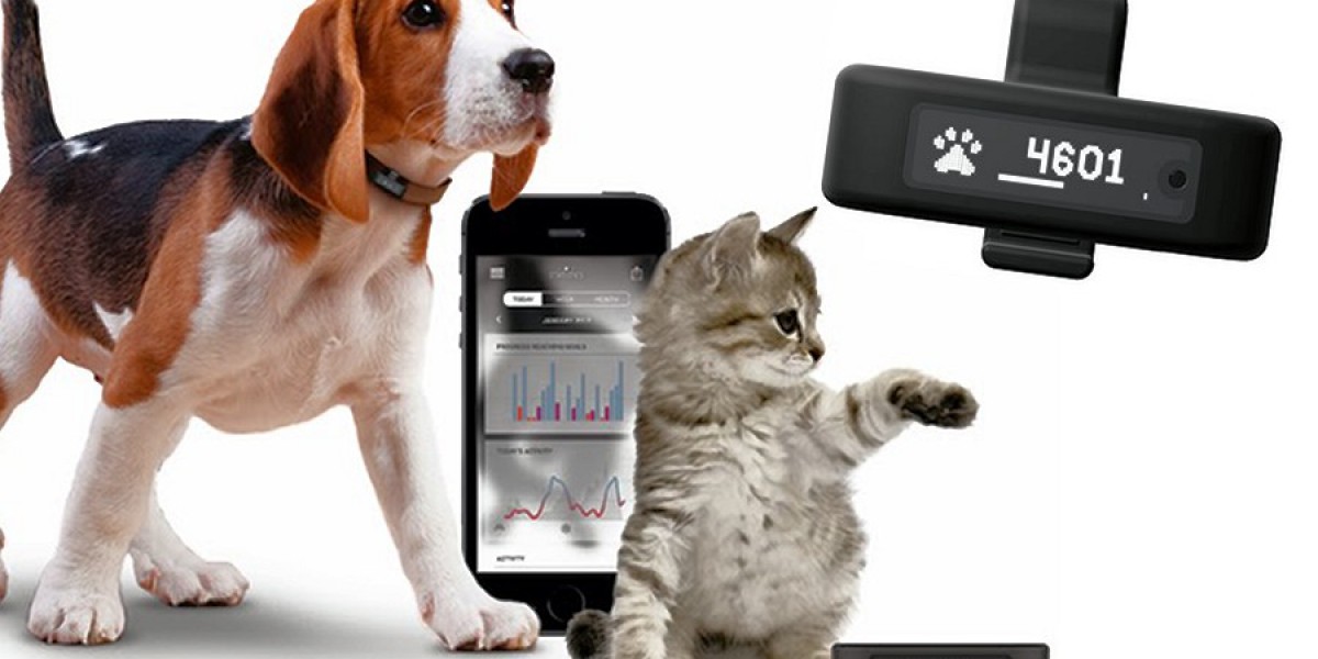 Pet Wearable Market | Segments, Size and Demand, Dynamics, 2020-2030
