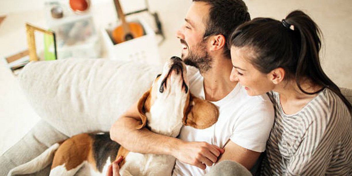 Moving with Pets: A Guide to a Stress-Free Relocation