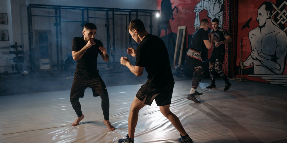 From Novice to Cage Fighter: How to Become a Successful MMA Fighter