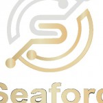 Sea Ford Profile Picture