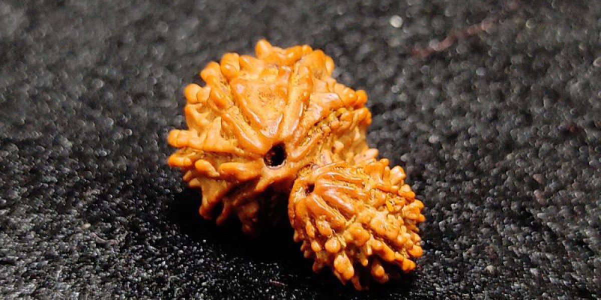 Divine Protection The Significance of Grabh Gauri Rudraksha