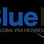 Blue Link Services Profile Picture