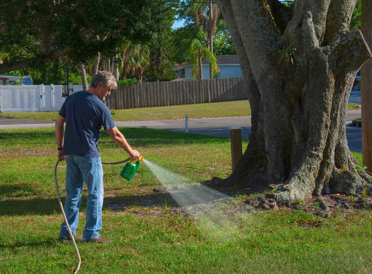 Best liquid lawn fertilizer 2023 And Buyers Guide