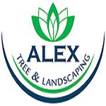 Alex Tree and Garden Services Profile Picture