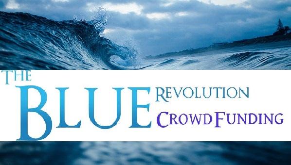 Ghaziabad Queen | Blue &  Green Evolution Crowdfunding