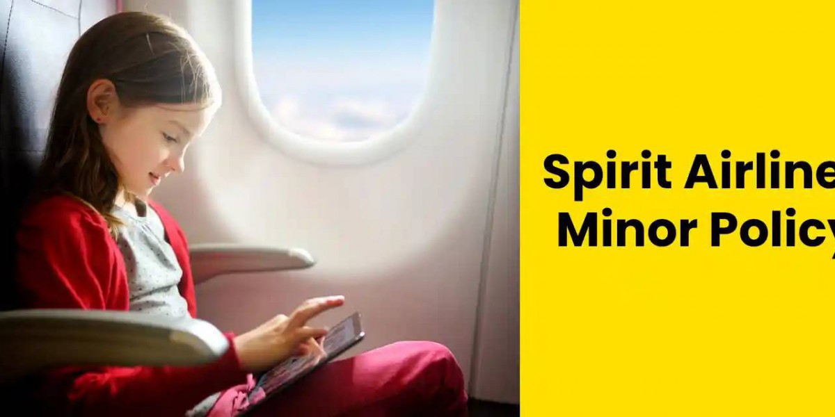 How much does Spirit Airlines charge for unaccompanied minors?