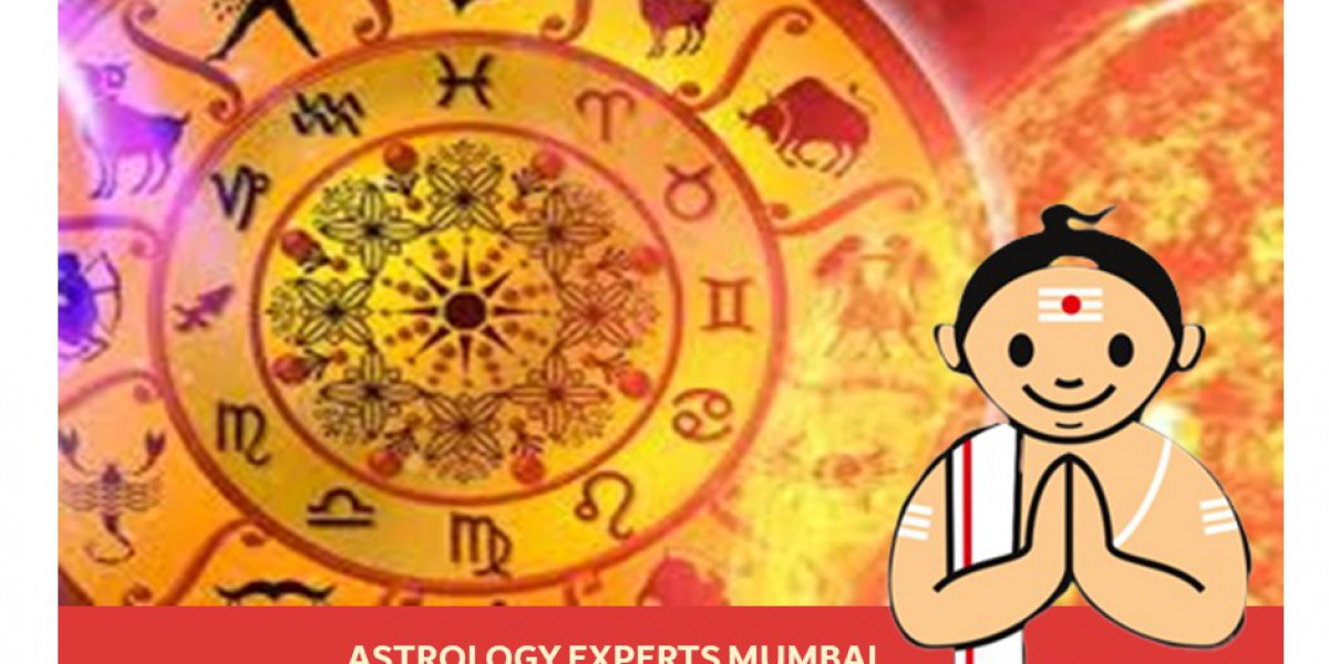 Best career astrologer in Delhi