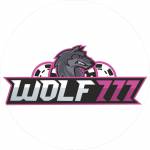 Wolf777 Cricket Profile Picture