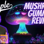 Amanita Mushroom Gummies Profile Picture