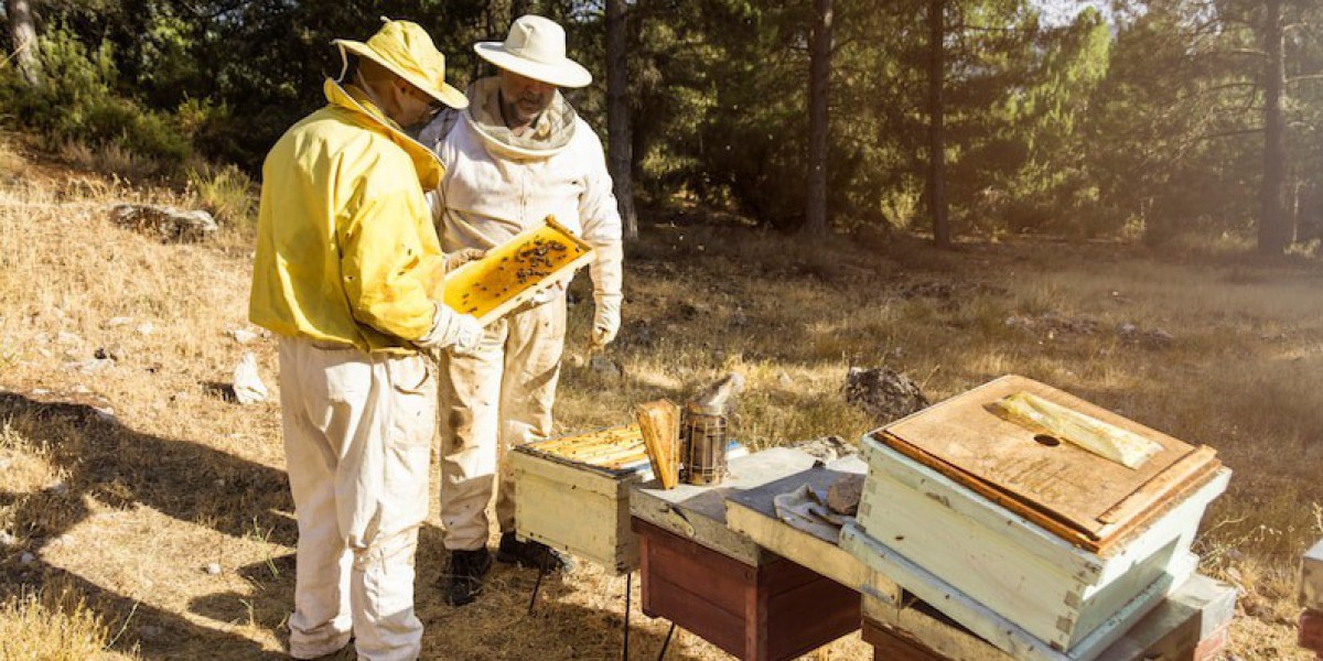 Beekeeping Wisdom: Essential Tips for Successful Beehive Inspections