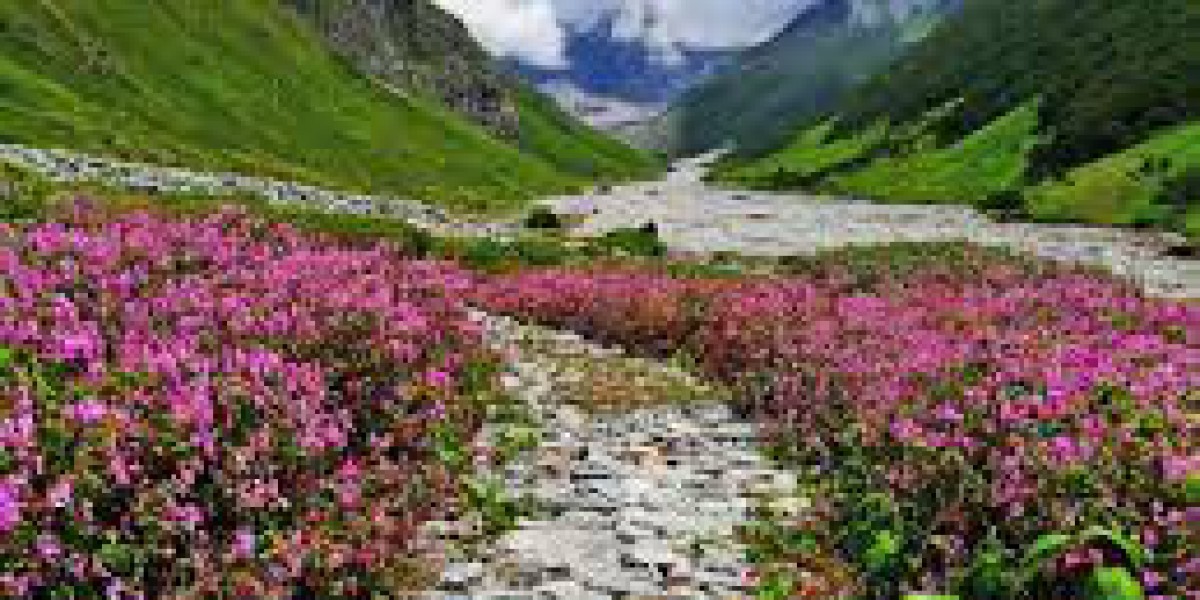 Exploring Nature's Paradise: The Valley of Flowers Trek