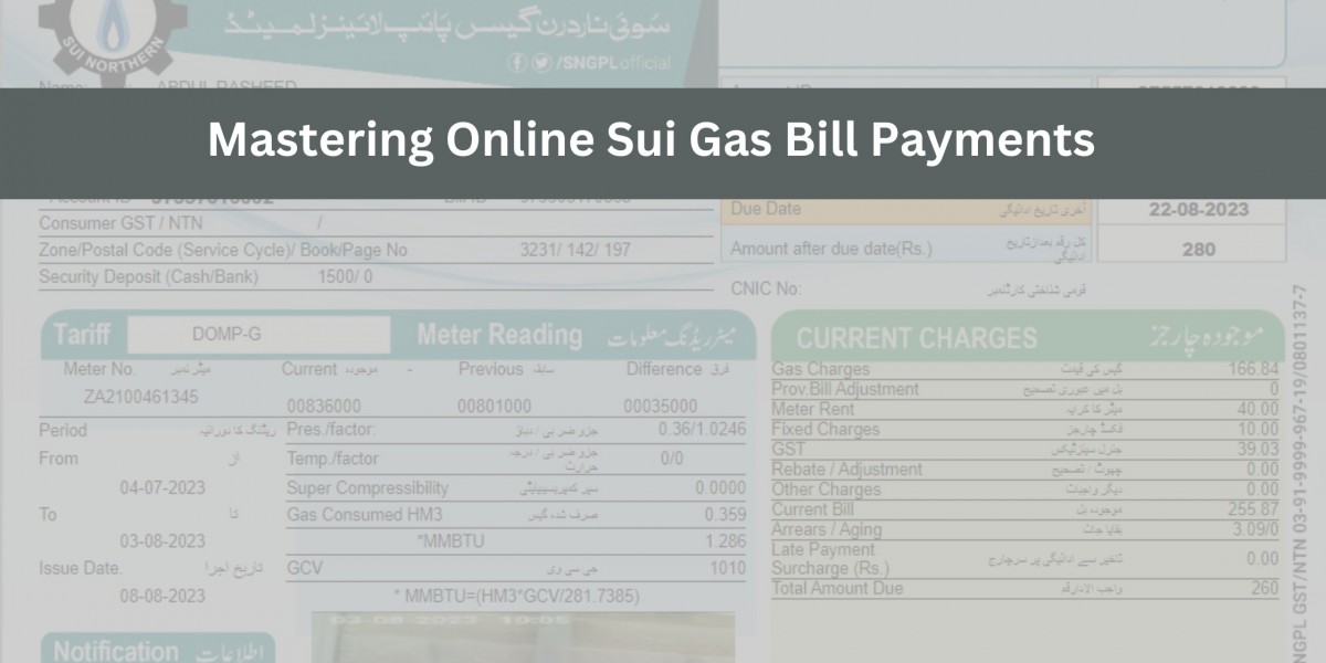 Mastering Online Sui Gas Bill Payments: A Complete Breakdown