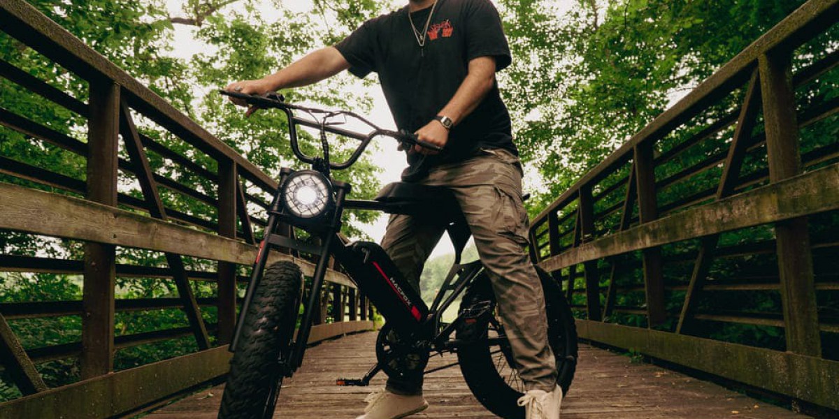 Elevate Your Ride: The MacFox eBike Experience