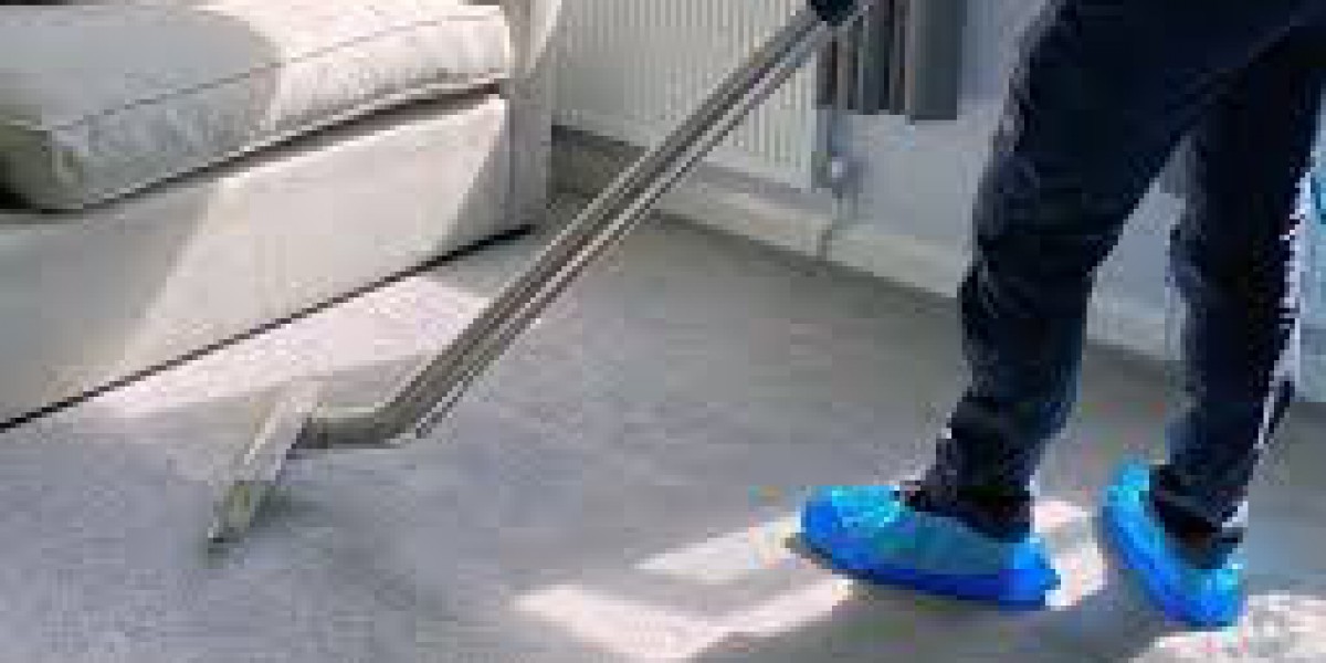 How Professional Carpet Cleaning Services Keep Your Wallet Full