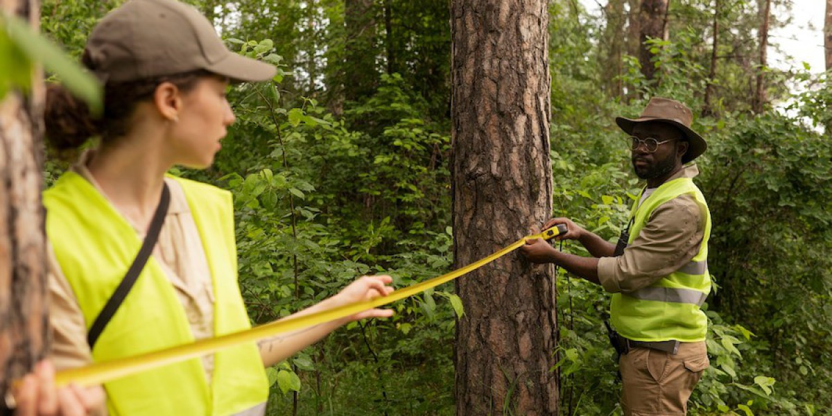 Maximizing the Benefits of Local Tree Services