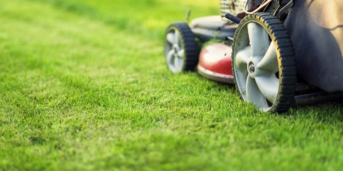 NKYGutterCleaner's Lawn Mowing Excellence: Transforming Your Landscape