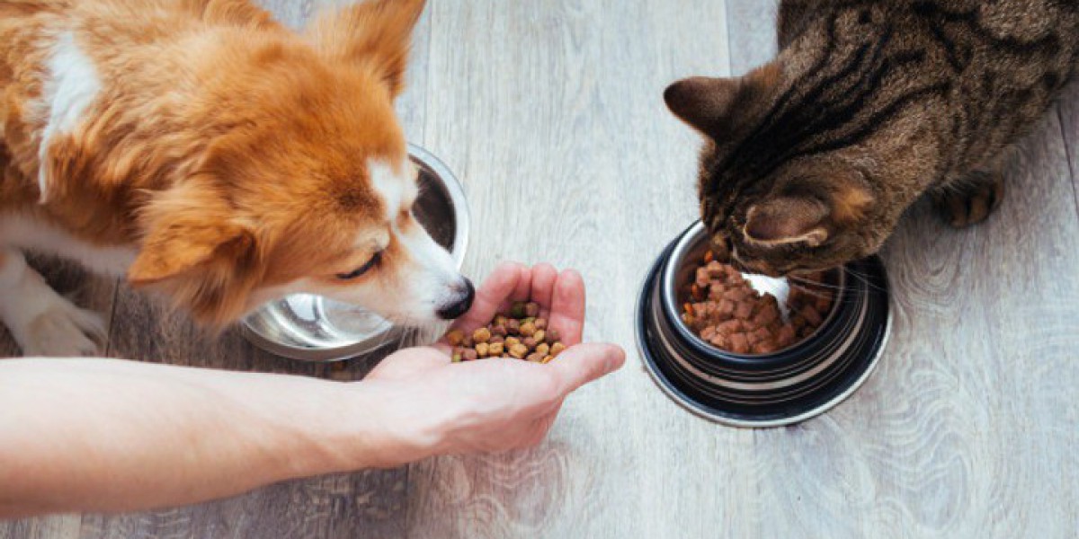 The ABCs of Pet Vitamins: A Guide to Keeping Your Furry Friend Healthy