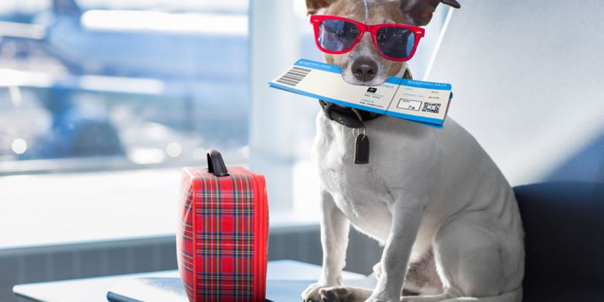 Pet Passport Pros: Opening a World of Possibilities with Us