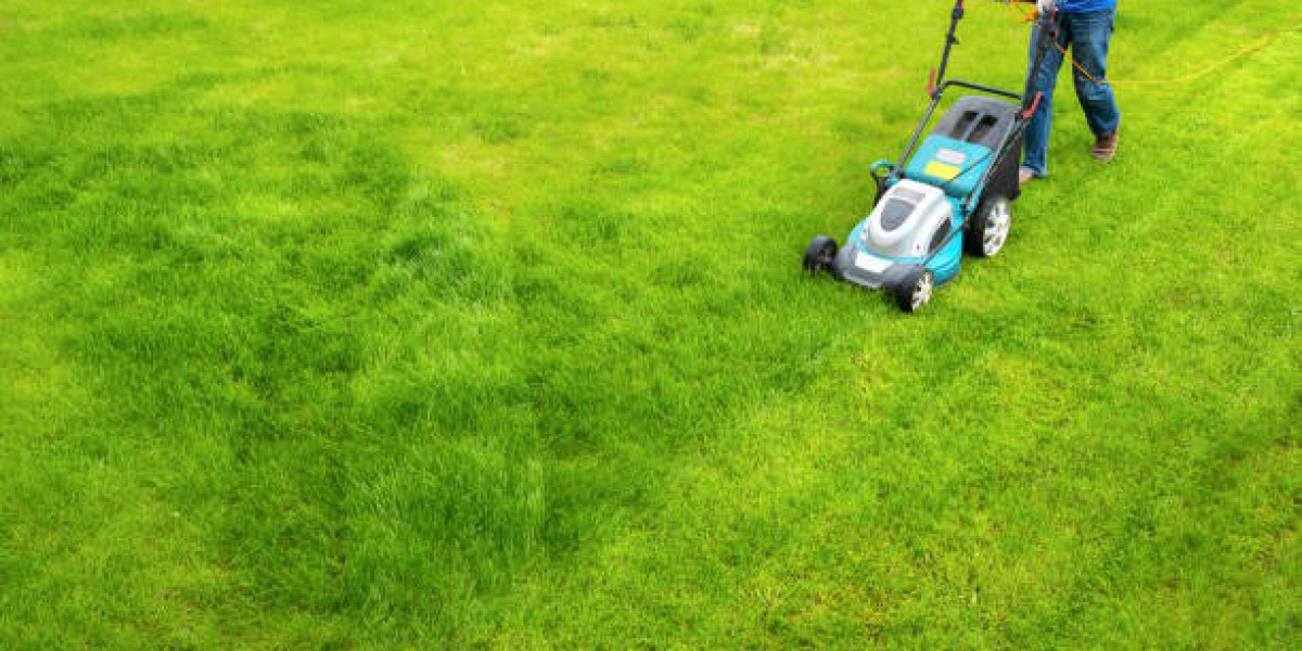 Choosing the Right Commercial Lawn Service Provider