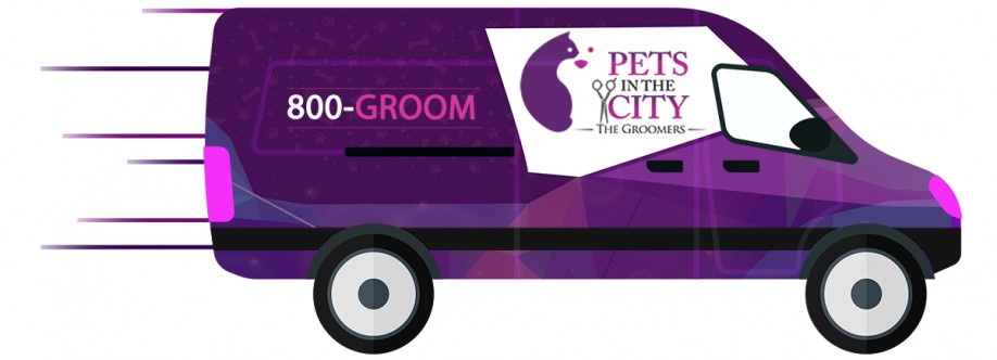 Pets In The City Pet Care Dubai Cover Image