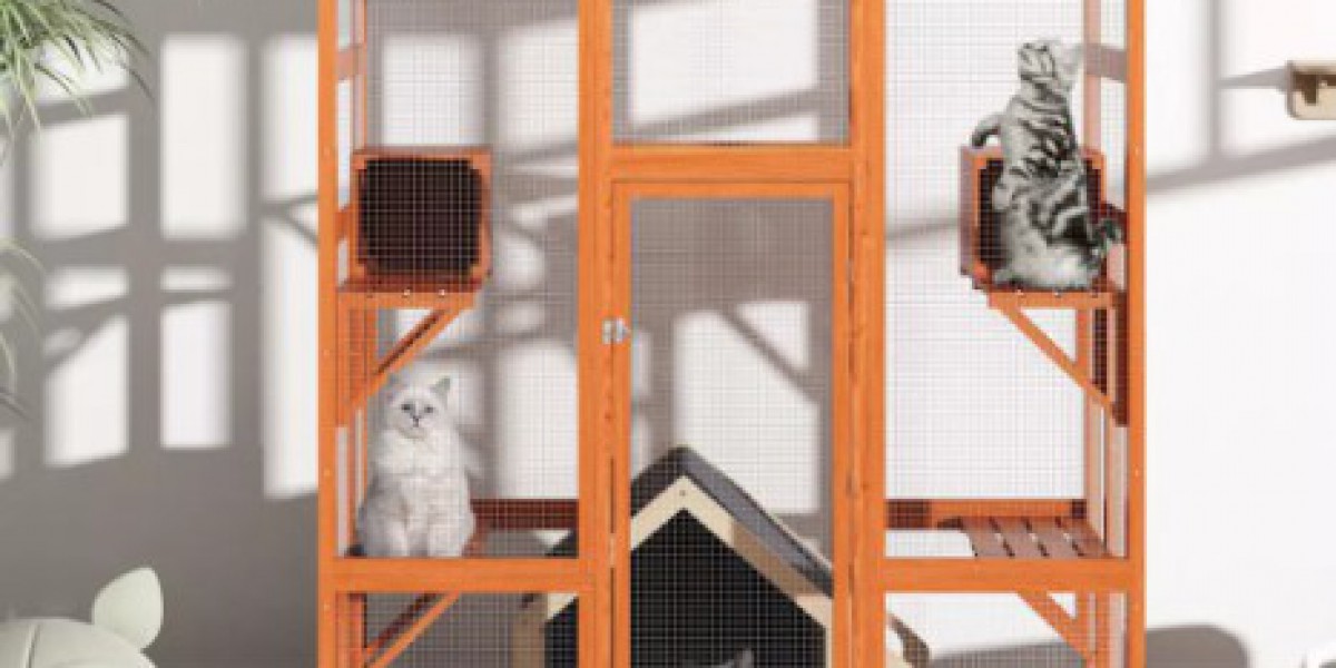 Unveiling the Social Wonders of Outdoor Cat Enclosure