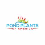 Americapondplants Profile Picture