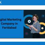 website design company in faridabad Profile Picture