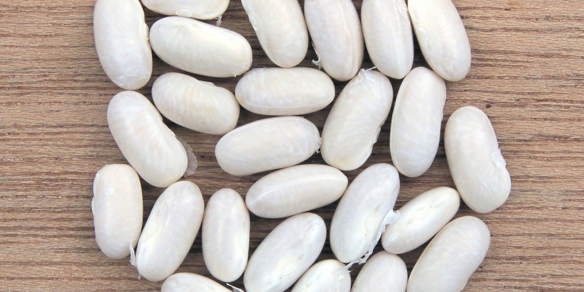 Nutrition Facts of Navy Beans