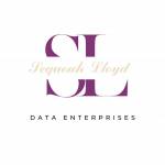 SL Data Enterprises, LLC Profile Picture