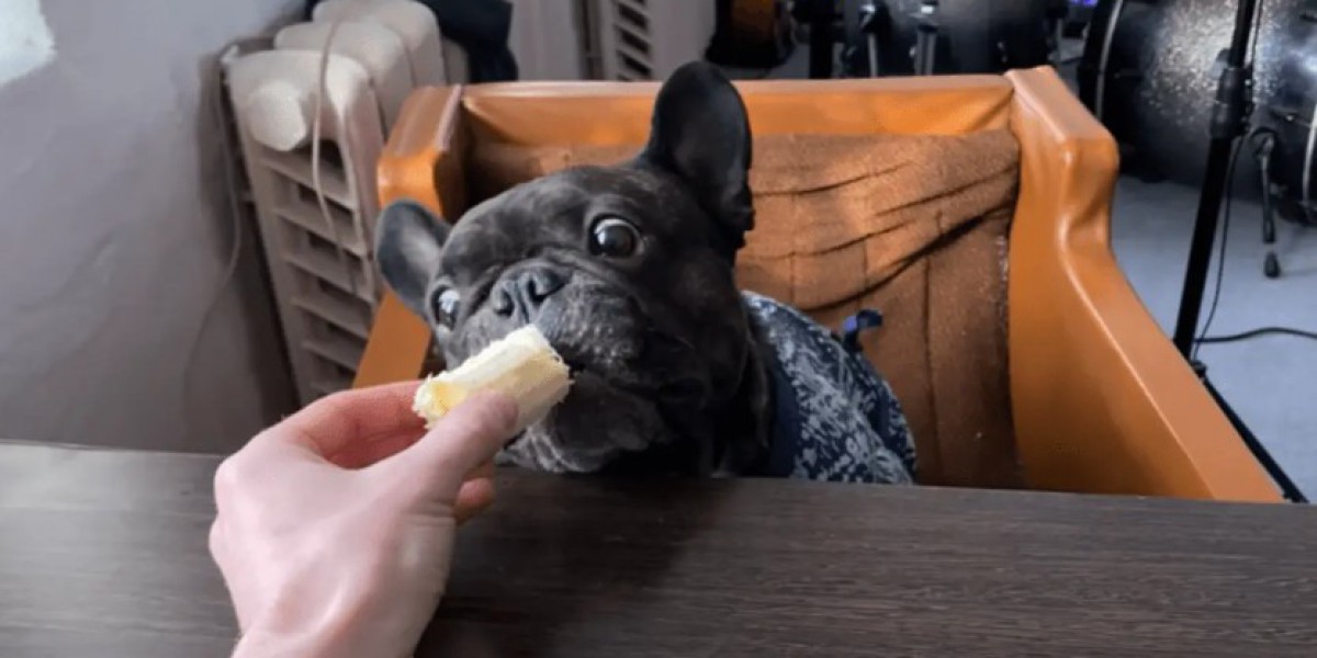 Can French Bulldogs Eat Bananas? A Nutritional Guide