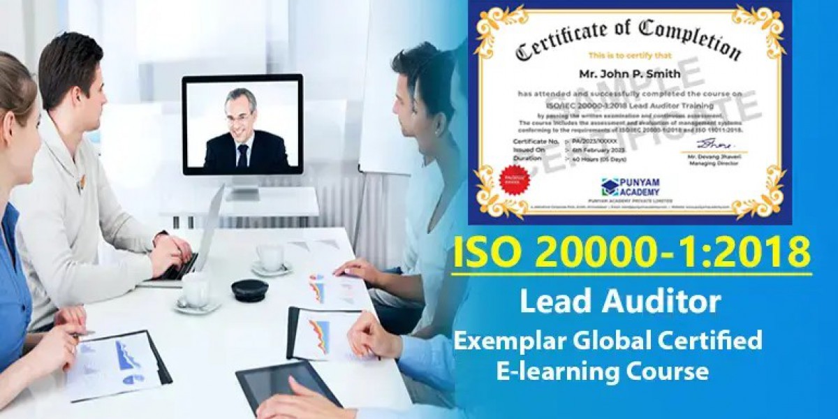 Why ISO 14001 Lead Auditor Training Is Essential for Sustainability Professionals?