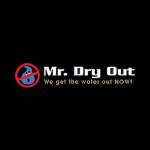 MrDryOut Profile Picture