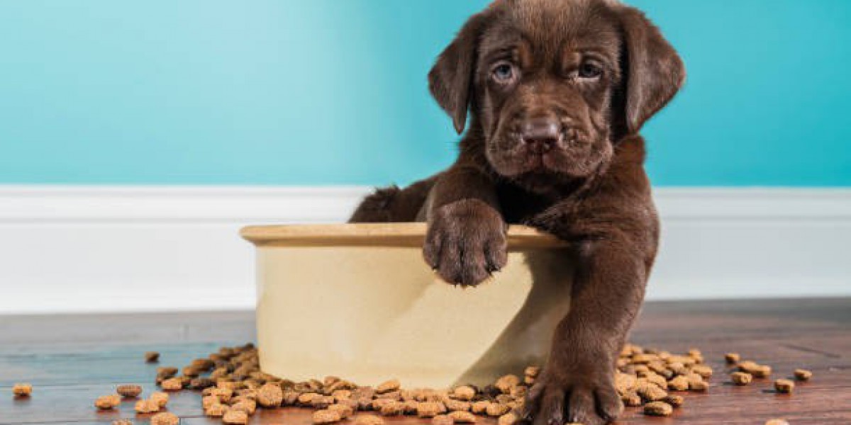 Unleashing Health and Happiness Discovering the Finest Natural Dog Food Store Near Me