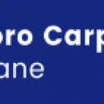 Maxpro CarpetRepairBrisbane Profile Picture