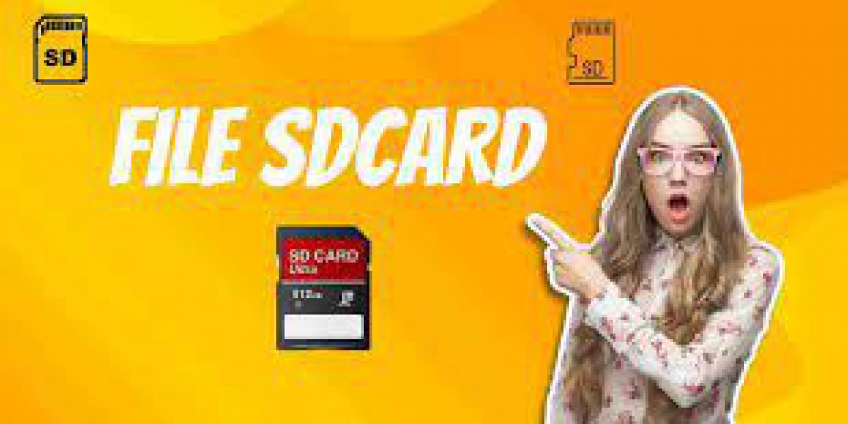 How to View, Move and Copy File Sdcard on Android 2024?