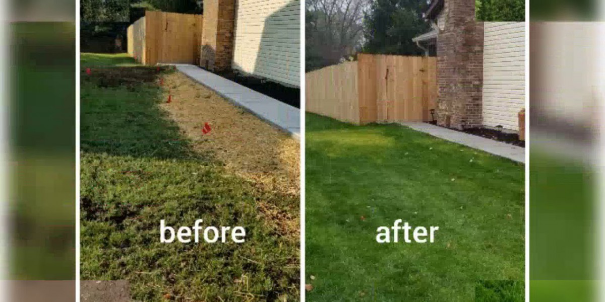 How to Renovate Lawns ?