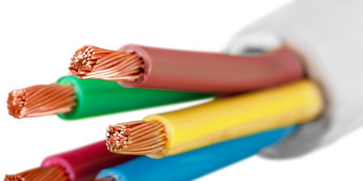 Shaping the Future: Sustainability in the Insulated Wire and Cable Market