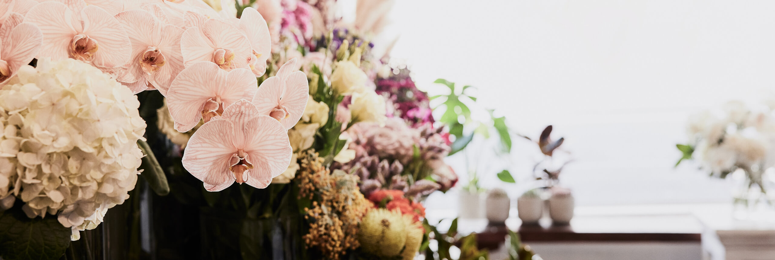 Same Day Flower Delivery Carlton I The Flower Shed