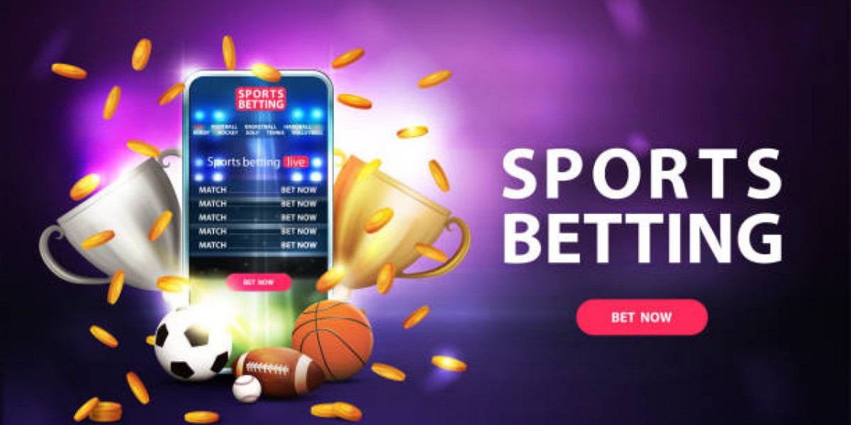 Raise Your Betting Knowledge with India's Prime Betting Programs