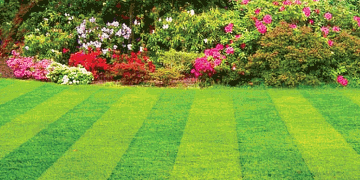 "Why Brentwood Lawn Care Services Are Essential for Your Home"